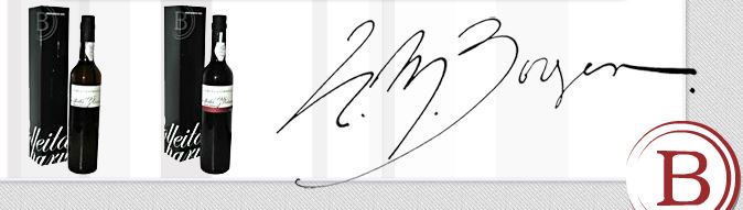 HM Borges stylish modern logo