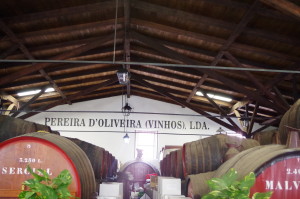 Barrels of Madeira maturing canteiro style