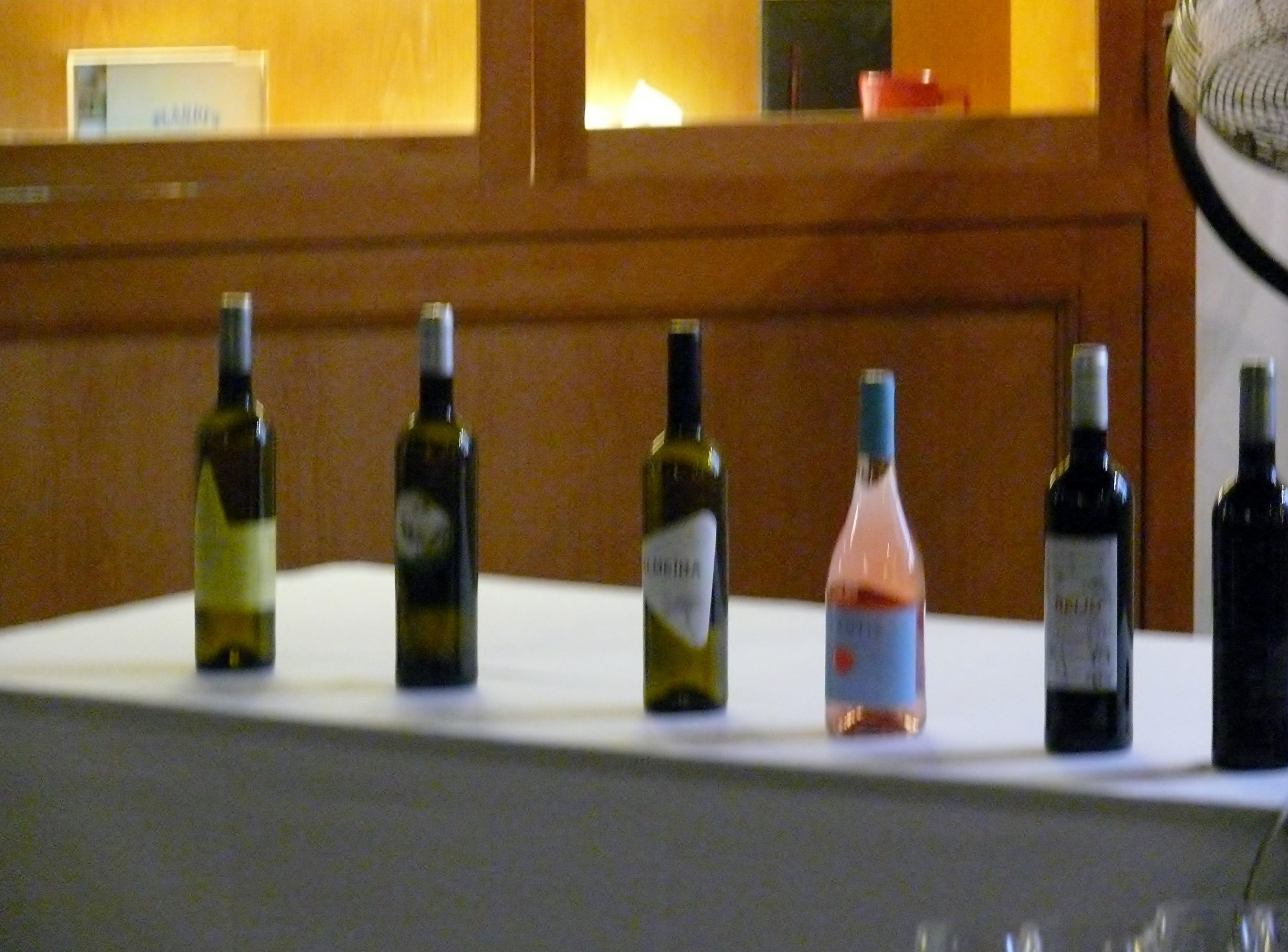 Madeira table wines to taste