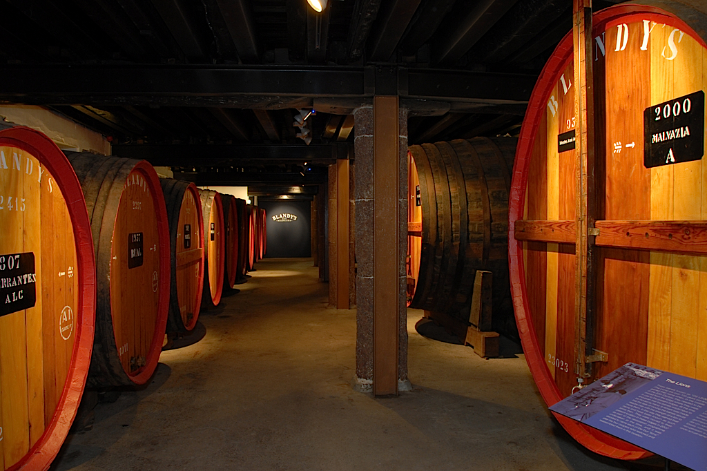 Large "Lions" of Madeira wine slumber