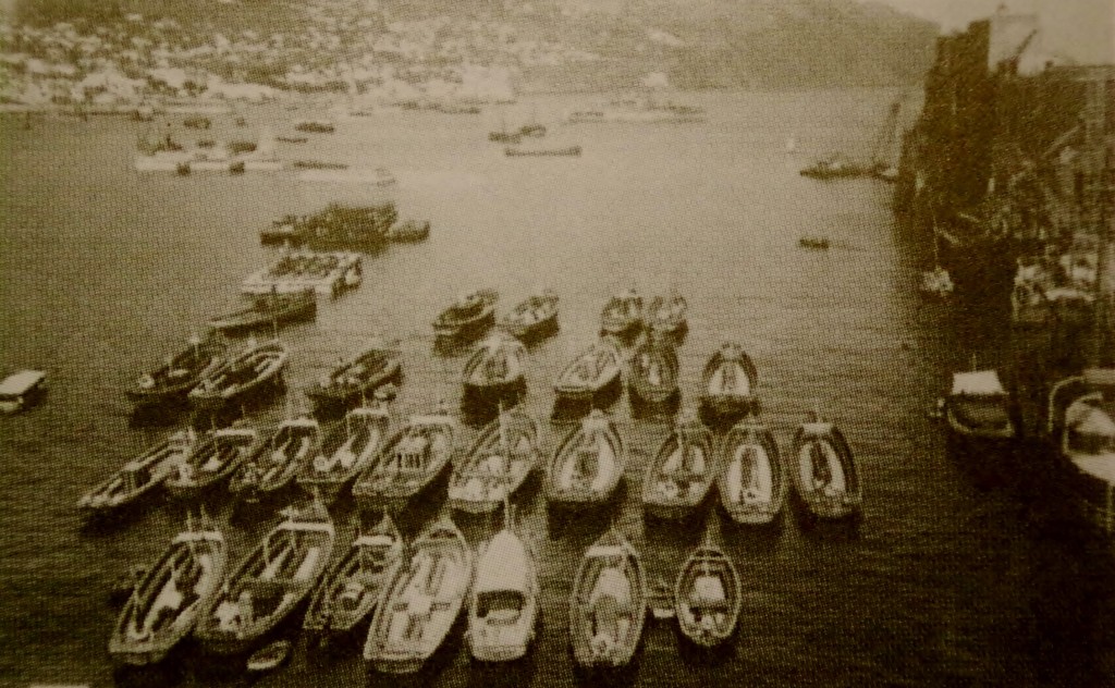 Fishing boats at Funchal