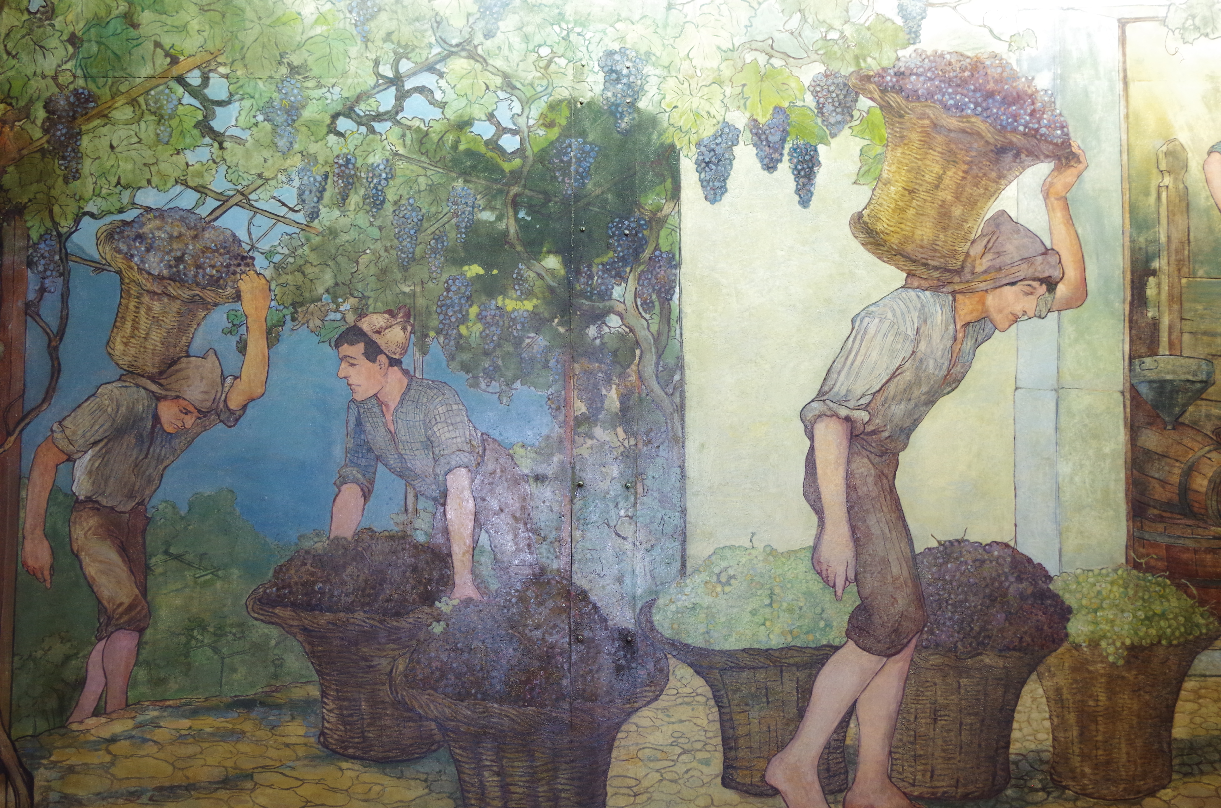 carrying grapes