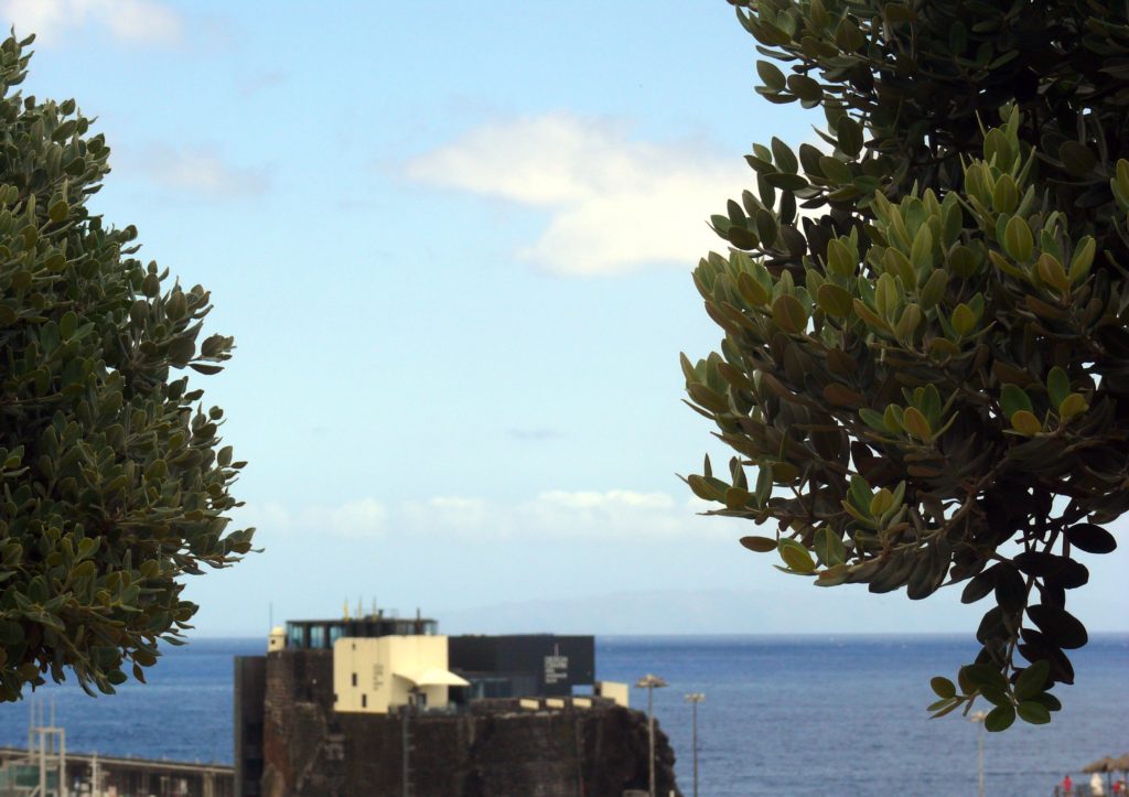 Design Centre, the Breakwater, Funchal Madeira