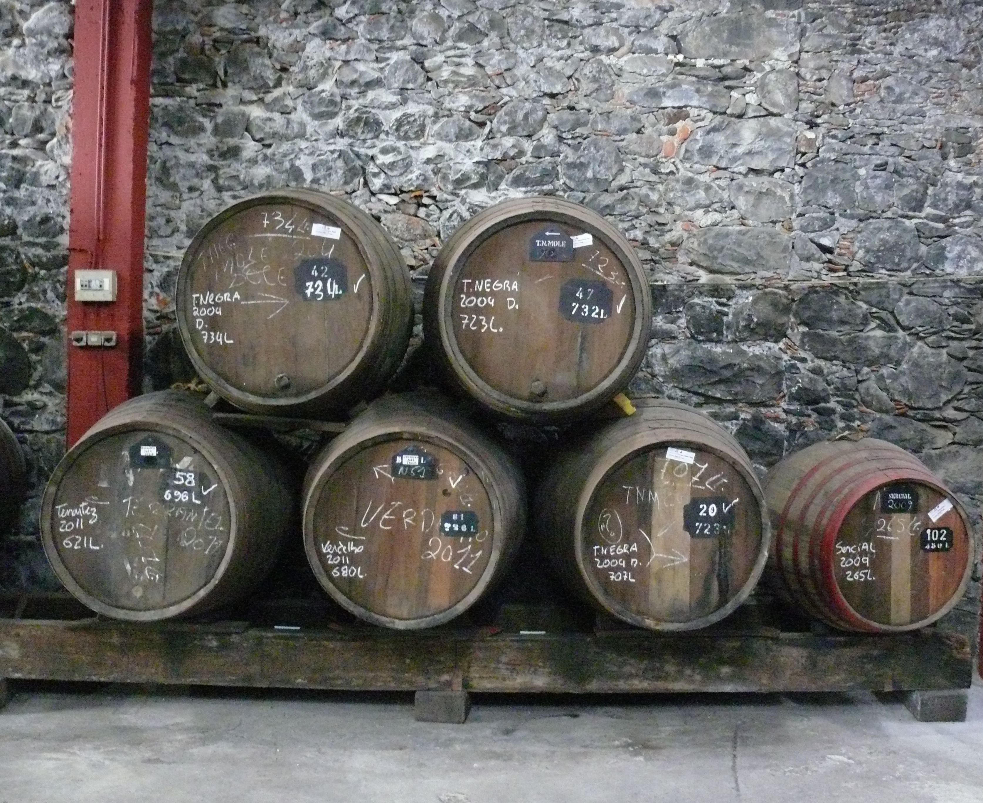Barrels of Madeira wine 