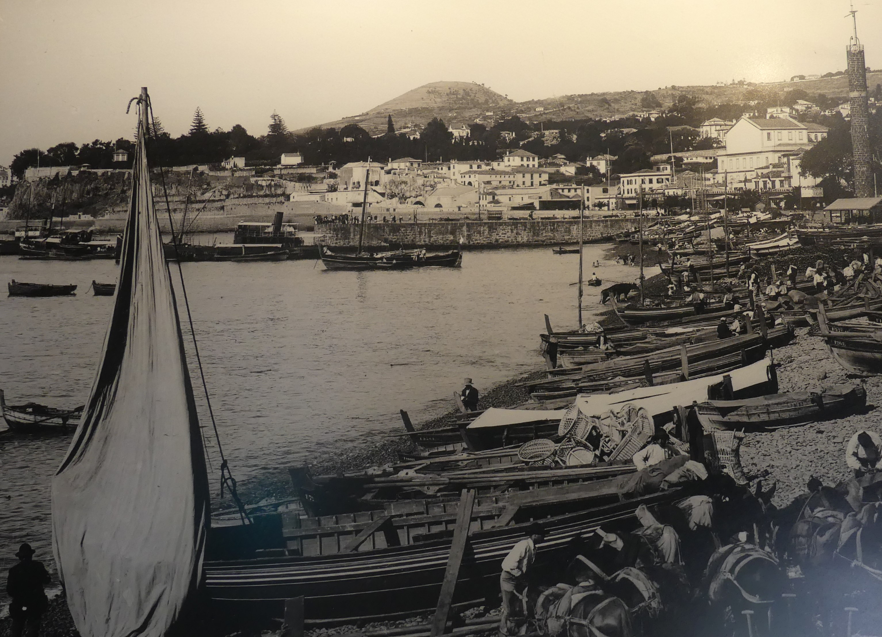 A picture of fishing boats beached in Funchal