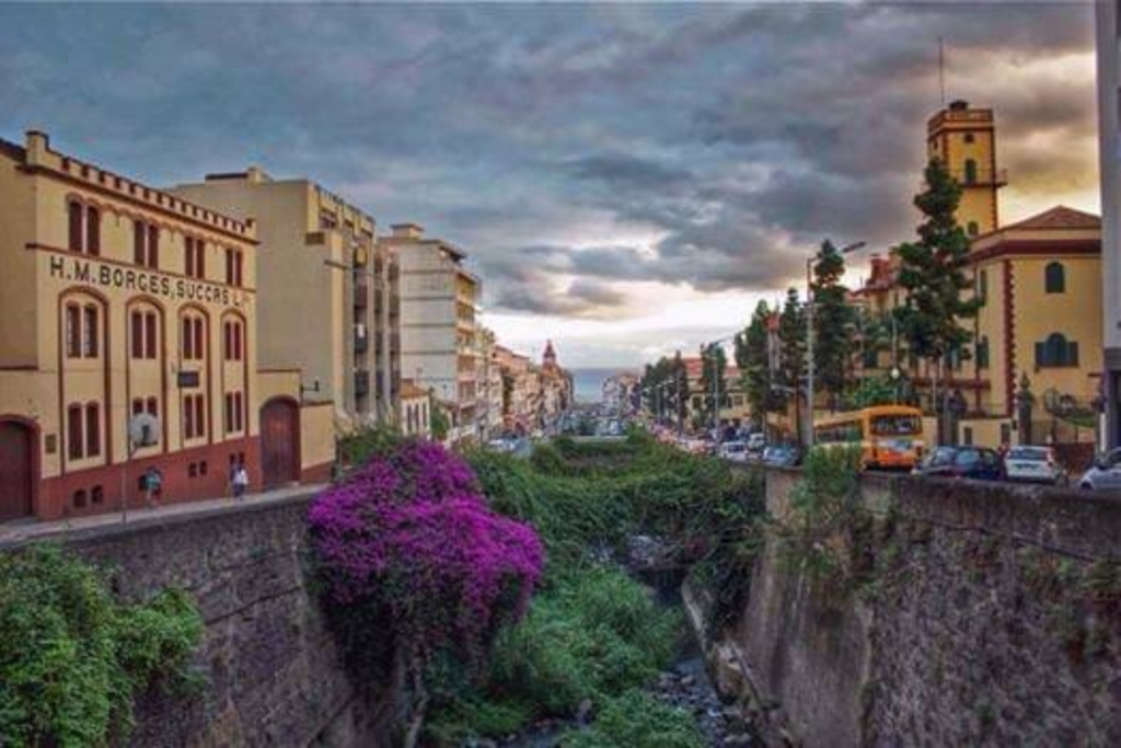 Borges wine lodge, Funchal Madeira