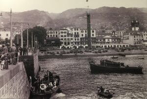 Funchal harbour tower crane