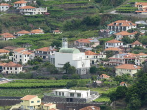Vineyards in among the churches and houses