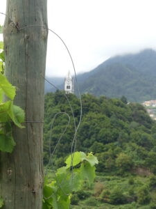 Tall church steeples brought the time to workers in the vineyards of Barbusano