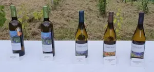 Terrabona wines