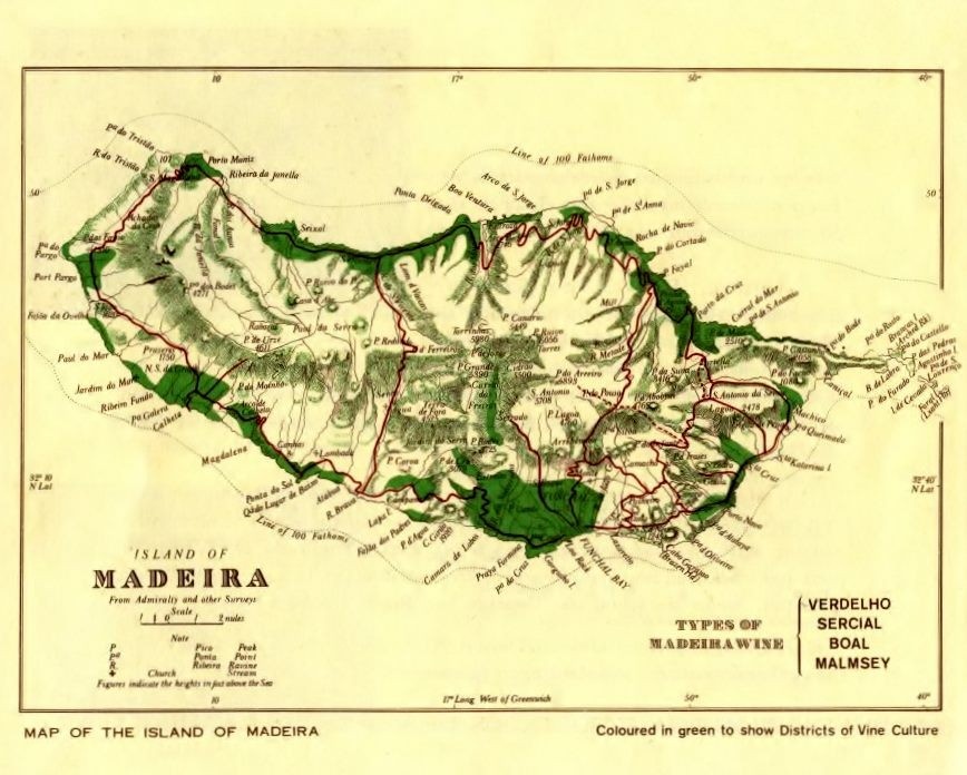 Wine growing regions in Madeira