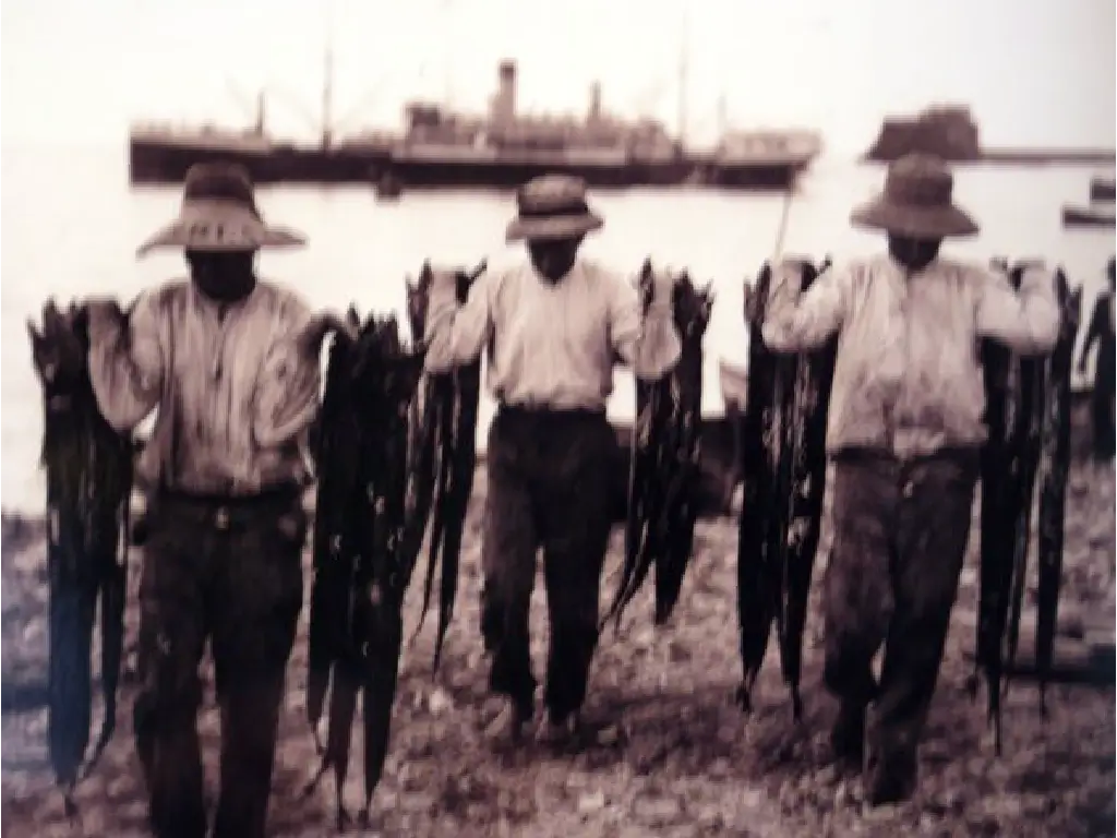 Fishermen in Funchal carrying a catch of espada