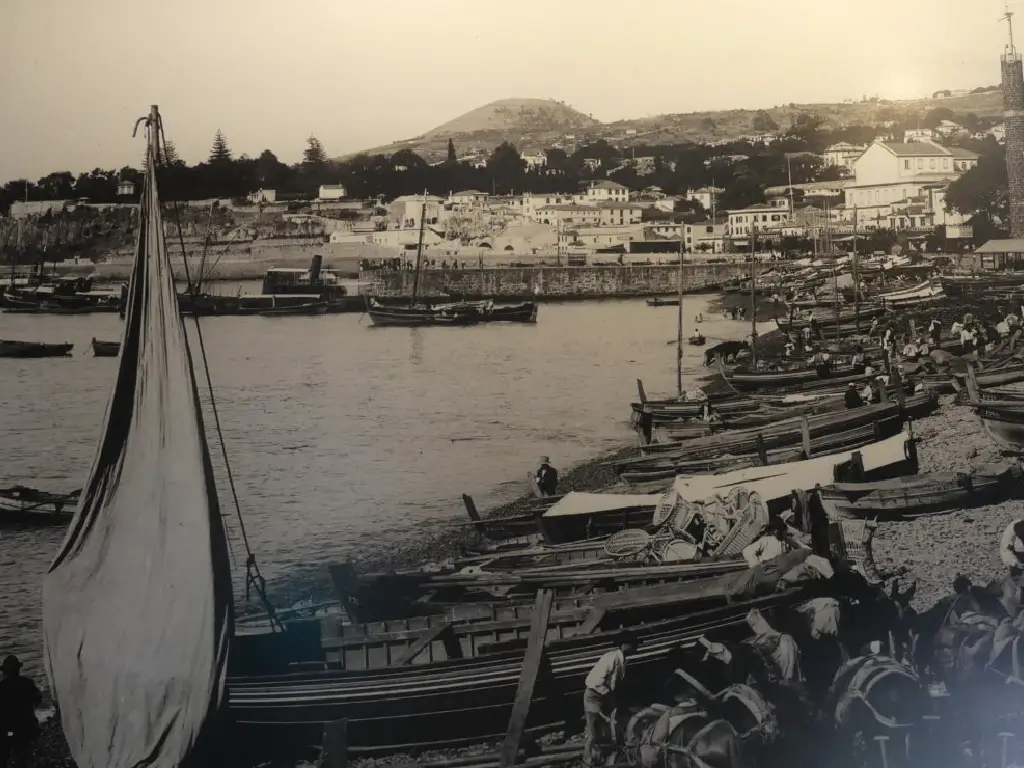 Fishing boats at Funchal