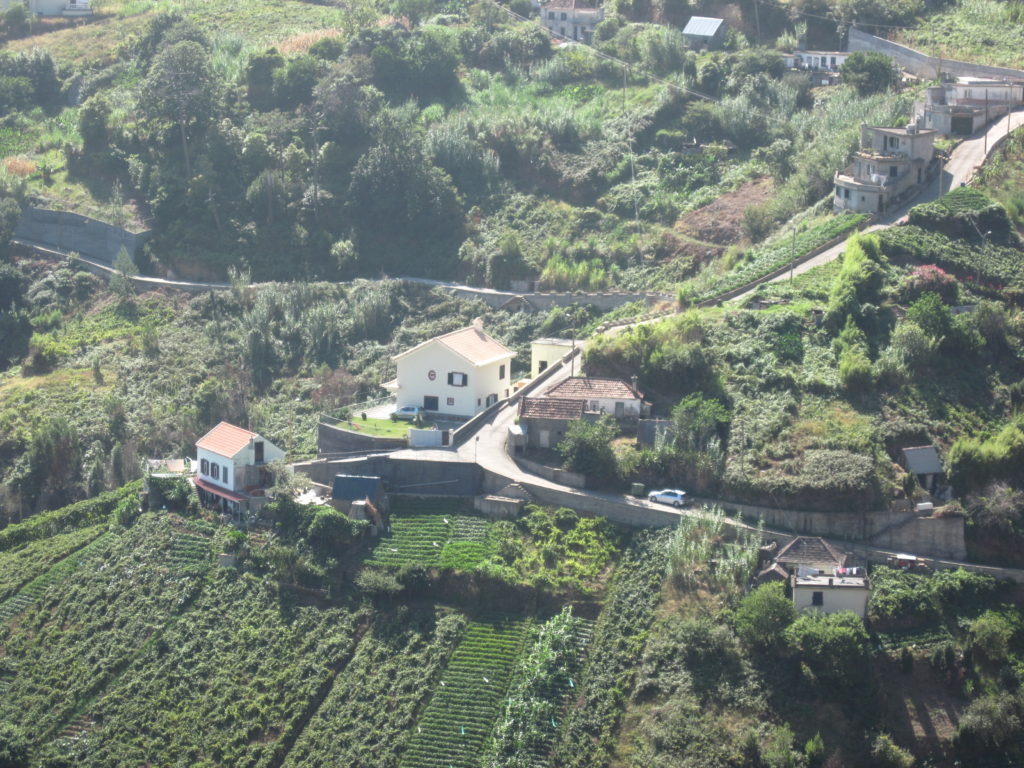 Madeira farming landscape