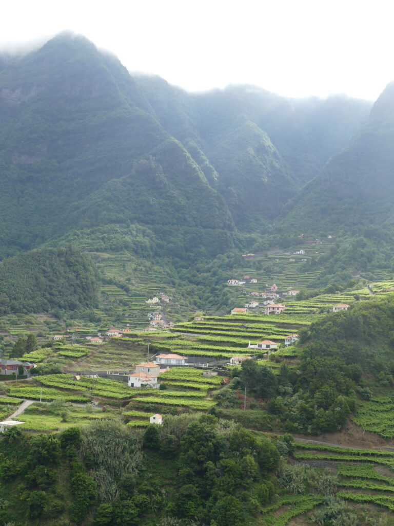 Sun and shade on the vineyards in Madeira