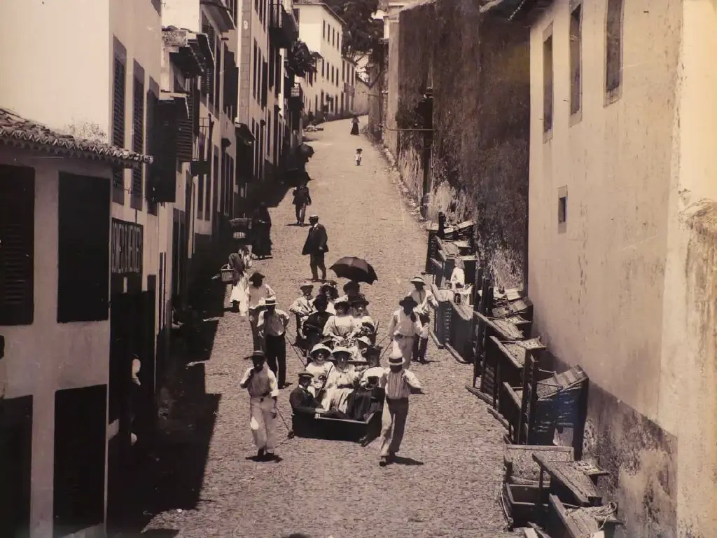 Tobogganing Madeira style, not a lot has changed!