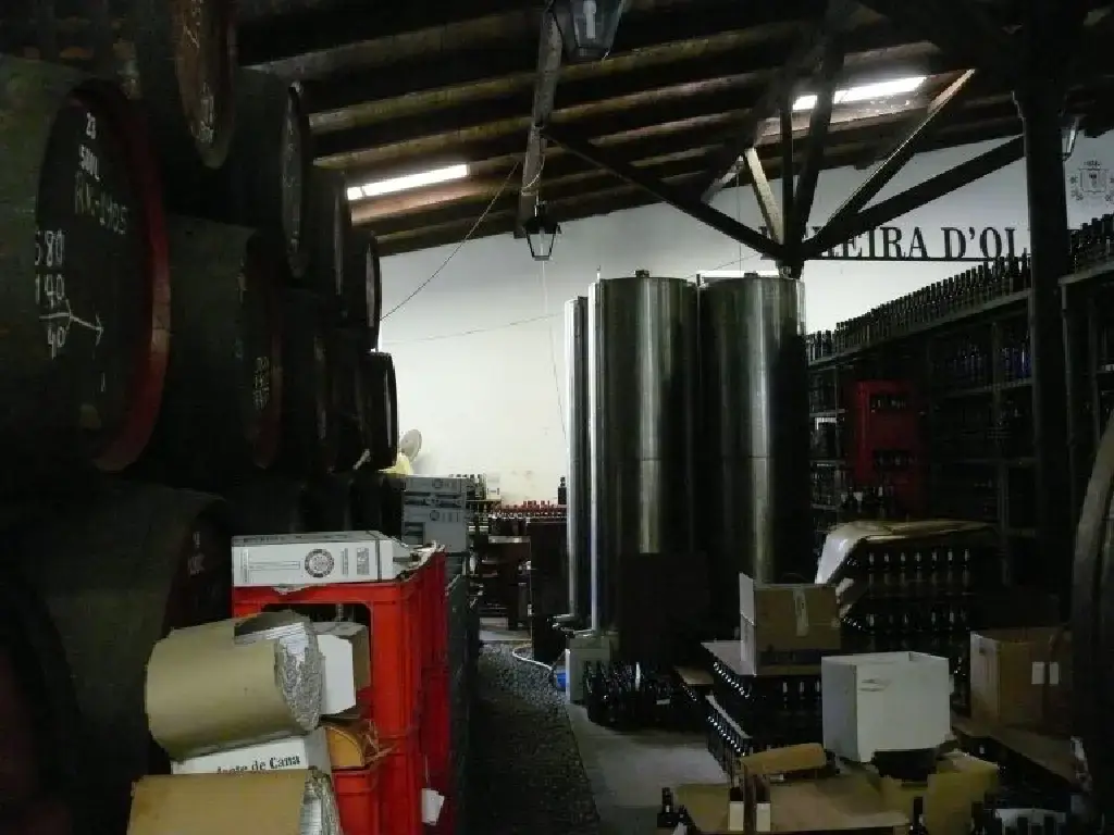 Behind the scenes at D’Oliveiras