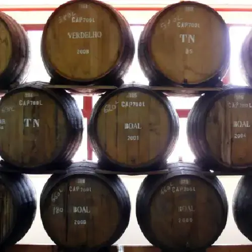 Boal, Verdelho and Tinta Negra all aging canteiro style