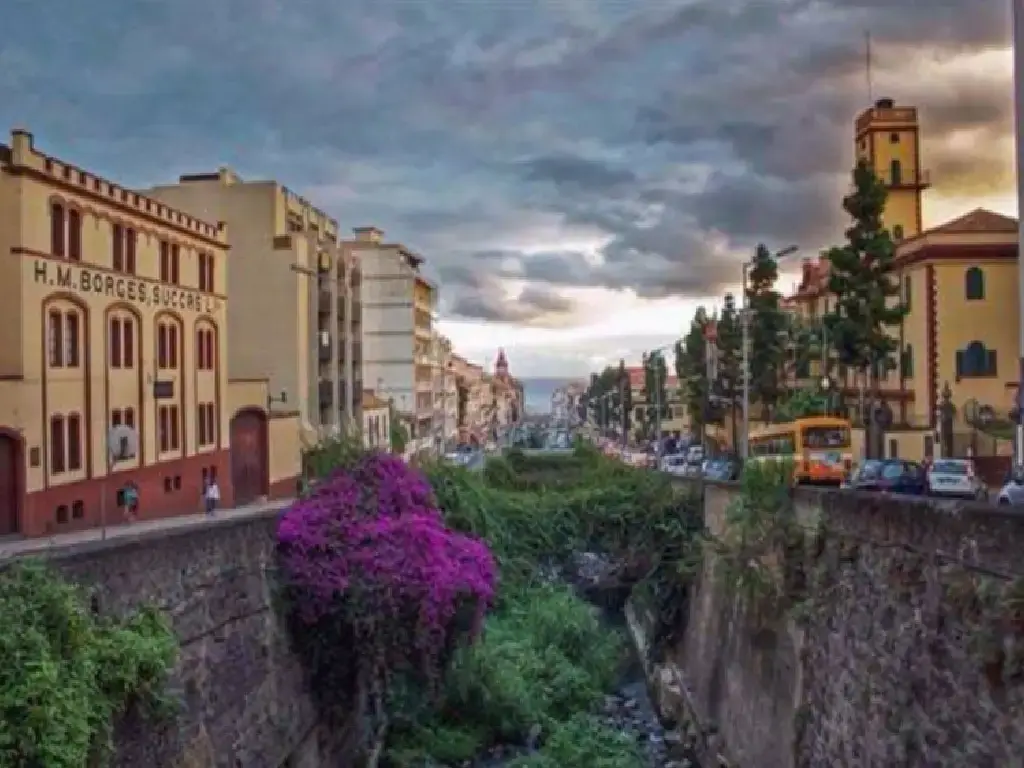 Borges wine lodge, Funchal Madeira