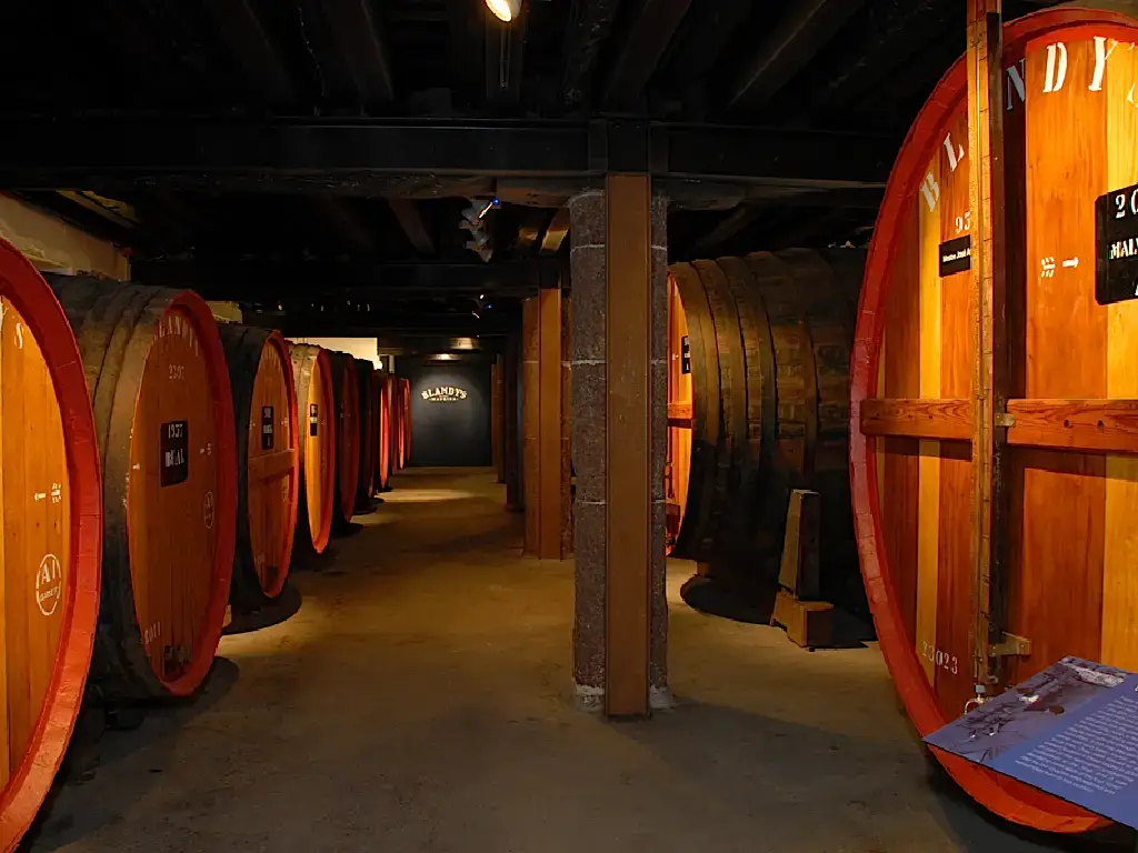 Large “Lions” of Madeira wine slumber