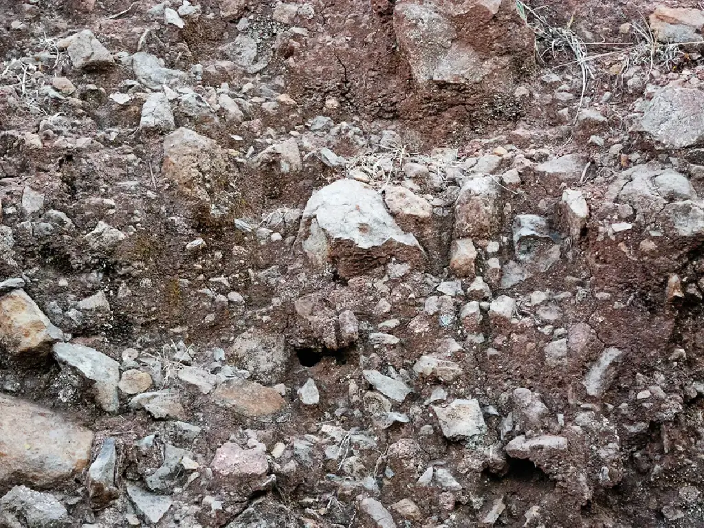 madeira-terroir-justinos