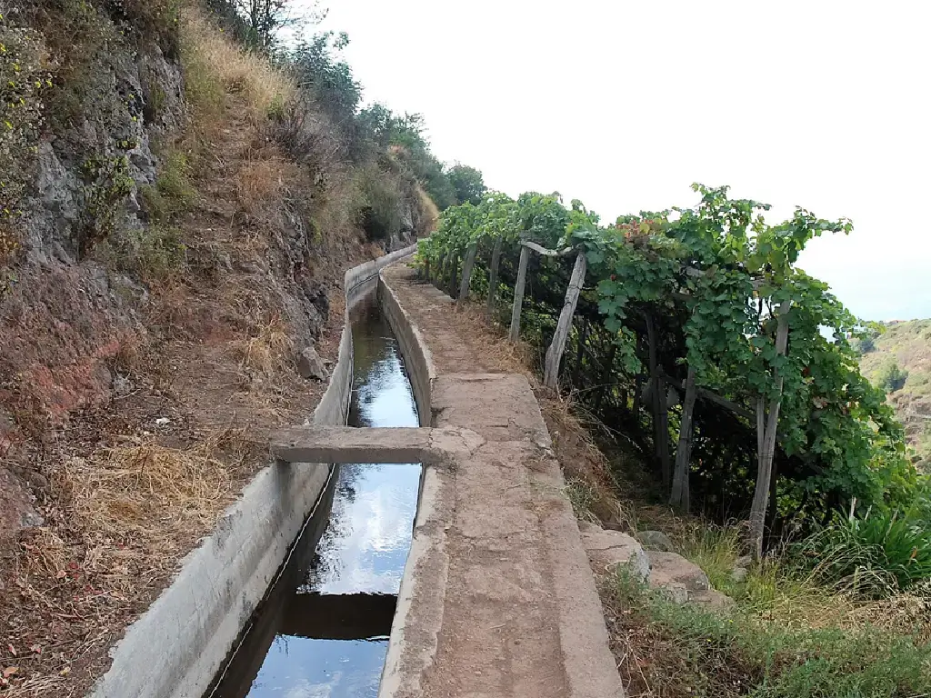 madeira-vineyard-and-levada-justinos