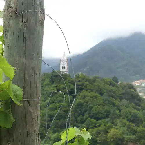 Tall church steeples brought the time to workers in the vineyards of Barbusano