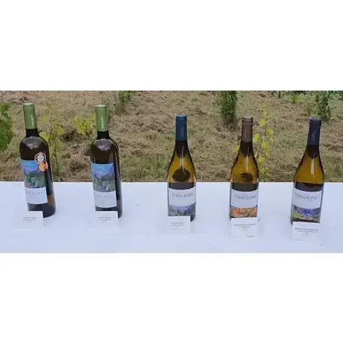 Terra bona wines